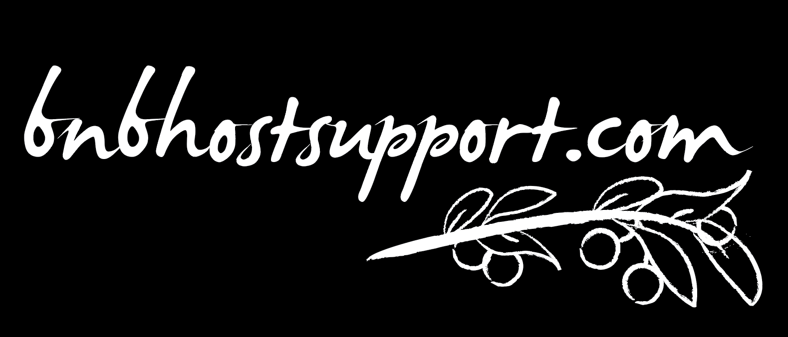 bnbhostsupport logo